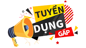 TUYỂN DỤNG 02 NV KINH DOANH LỐP THỊ TRƯỜNG PHÍA BẮC.